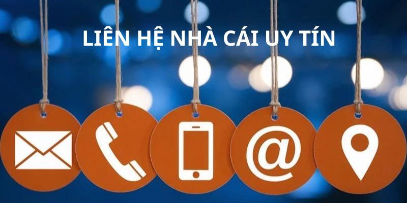 Nắm thông tin cơ bản của nhà cái Lulu88